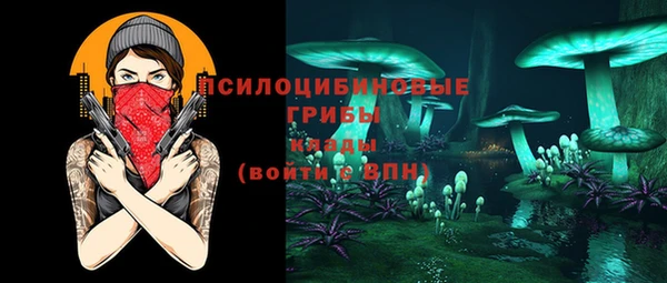 Альфа ПВП Алексин
