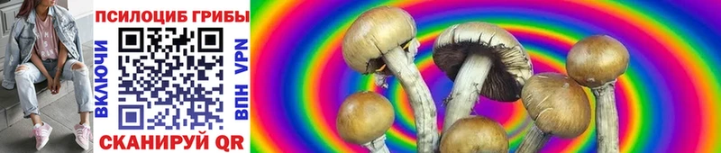 маркетплейс телеграм  ОМГ ОМГ ТОР  Лесосибирск  Псилоцибиновые грибы Cubensis 